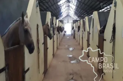 Haras de alto padrão com casa sede e três alojamentos!