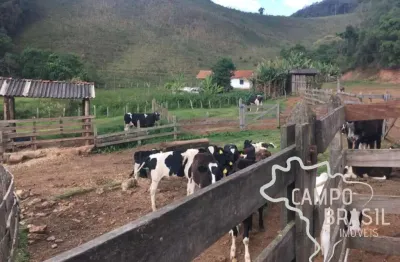 Oportunidade rural! fazenda para pecuária e agricultura!