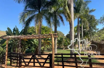 Negócio de ocasião! fazenda de 105,5 aq com excelente preço!