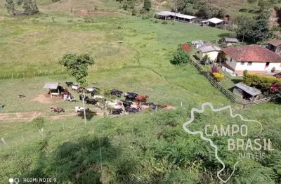 Fazenda com 1 sala à venda na Estrada Principal, Zona Rural, Passa Vinte