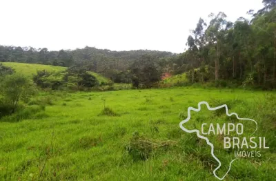 Sítio 7 alqueires no asfalto com 30 mil pés de eucalipto em paraibuna !