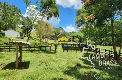Chácara / sítio com 5 quartos à venda na Estrada Principal, Zona Rural, Lagoinha