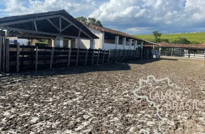 Fazenda 165,20 alqueires topografia plana no vale do paraíba !