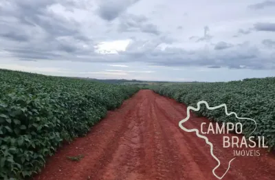 Oportunidade sul de minas gerais - fazenda com 212 hectares !
