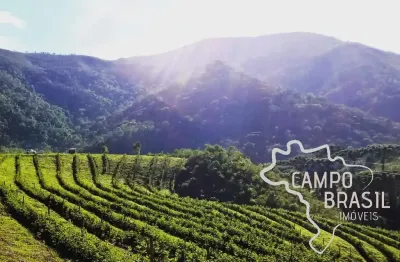 Maravilhosa fazenda 54 hectares em carvalhos - mg !