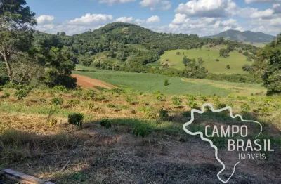 Fazenda 80 hectares  em conceição do rio verde - mg !
