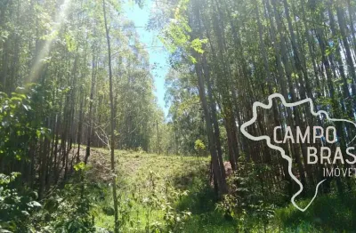 Chácara / sítio com 3 quartos à venda na Estrada Principal, Zona Rural, Redenção da Serra