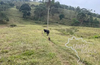 Área rural 4 alqueires escriturada , com nascente e de fácil acesso em são josé dos campos !