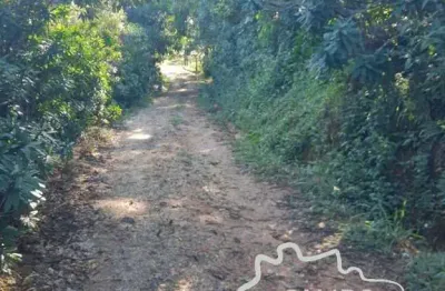 Chácara com 1,5 alqueires na zona norte de são josé dos campos !