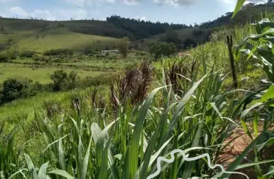Chácara / sítio com 2 quartos à venda na Estrada Principal, Zona Rural, Paraibuna