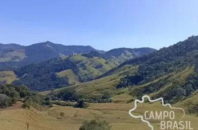 Área rural 31,5 alqueires com pasto formado em delfim moreira - mg !