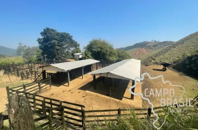 Sítio 23 alqueires com pasto formado em são francisco xavier !