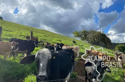 Fazenda 26 hectares formada com excelente estrutura no sul de minas gerais !