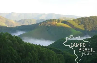 Sítio 8,37 alqueires com eucalipto em são francisco xavier - sp !