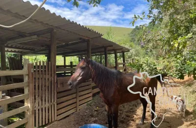 Lindo sítio formado de 4,8 hectares! com casa rústica e aconchegante em são josé dos campos.