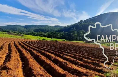 Sítio de dupla aptidão com 9 alqueires  100% tratorável em jambeiro! com muita água!!!