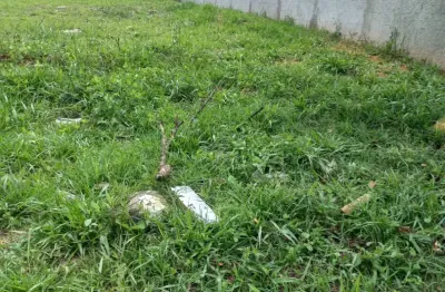 Te00168 - terreno de 300m² no bosque do sol documento ok, em são roque - sp