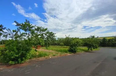 Terreno à venda no jardim das araucárias, sertãozinho  por r$ 103.000