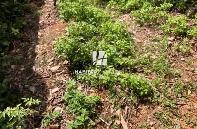 Terreno comercial para alugar na santa amélia, belo horizonte  por r$ 1.200