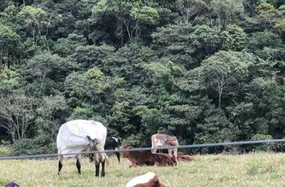 Fazenda à venda na Zona Rural, Antônio Dias 