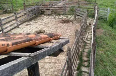 Fazenda à venda na Zona Rural, São Domingos do Prata 