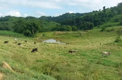 Fazenda terreno rural pingo d`água - mg - zona rural