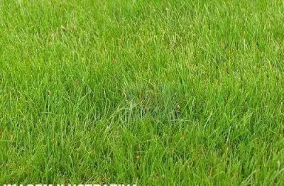 Terreno à venda, 1444 m² por r$ 520.000,00 - granja viana - carapicuíba/sp