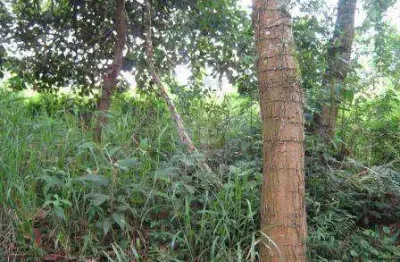 Terreno à venda, 1500 m² por r$ 900.000,00 - granja viana - carapicuíba/sp