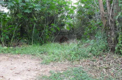 Área à venda, 5001 m² por r$ 800.000,00 - granja viana - carapicuíba/sp