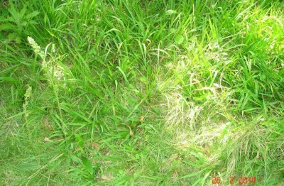 Terreno à venda, 876 m² por r$ 320.000,00 - granja viana - carapicuíba/sp