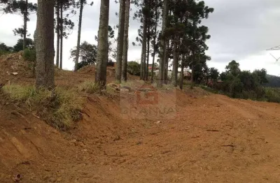 Terreno à venda na Estrada dos Fischer'S, Granja Viana, Cotia