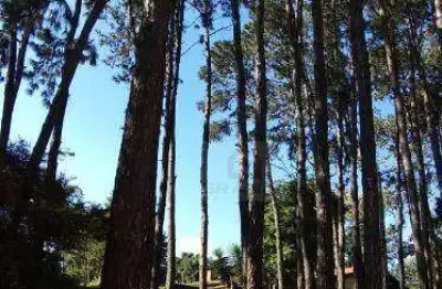 Terreno à venda na Rua Padre Mateus de Lara Leão, Granja Viana, Cotia