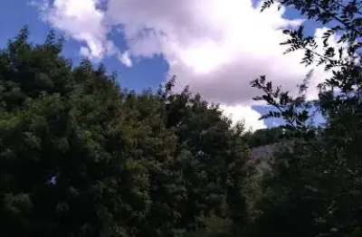 Casa em condomínio fechado com 2 quartos à venda na Estrada do Lutero, 65, Granja Viana, Cotia