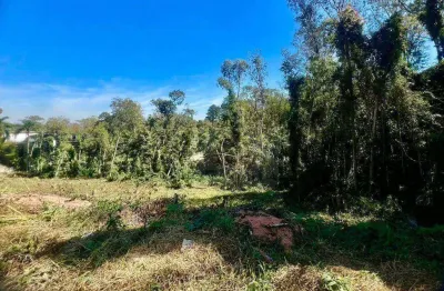 Área à venda, 6202 m² por r$ 6.202.000,00 - chácara ondas verdes - cotia/sp