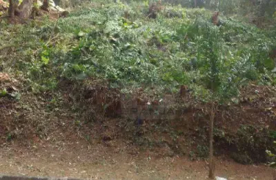 Terreno à venda, 500 m² por r$ 380.000,00 - são paulo ii - cotia/sp