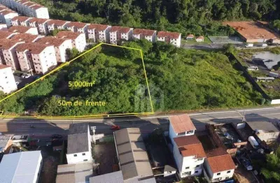 Terreno à venda, 5000 m² por r$ 3.000.000,00 - cia i - simões filho/ba