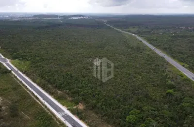 620.000m² plano em localização com fácil acesso pela br 101 terreno para grandes empreendimentos, loteamentos, supermercados, alagoinhas bahia