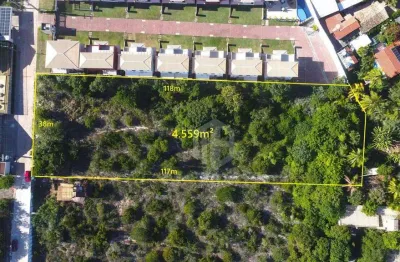 Área para empreendimento em imbassaí – litoral norte/ba | topografia excelente e localização alta