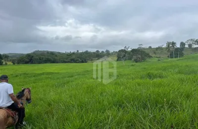Fazenda à venda em catú, bahia – 182 hectares com rio e aguadas!