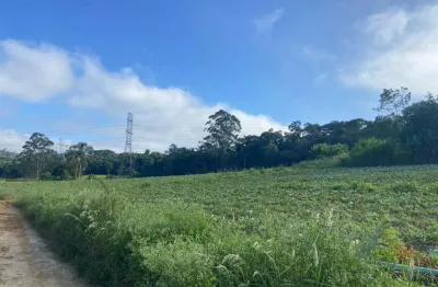 Chácara / sítio à venda na Estrada dos Fernandes, Parque Santa Rosa, Suzano