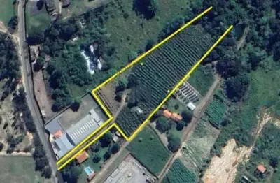 Terreno comercial à venda no Lajeado, Salto 