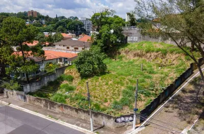 Terreno residencial para venda em vila albertina, 938m²
