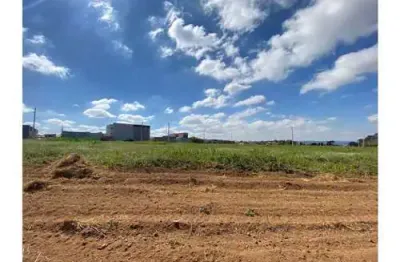 Terreno residencial para venda em residencial irineu zanetti, 160m²