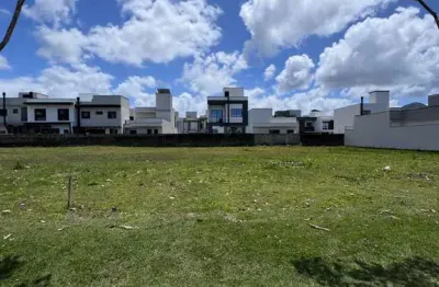 Terreno à venda na Avenida Wilson Castelo Branco, S/N, Beira Rio, Biguaçu