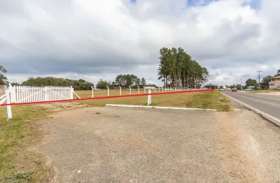 Sítio espetacular 171.632 m² com frente de 290 metros para a rodovia pr 281 em tijucas do sul/pr apenas 50 minutos de curitiba