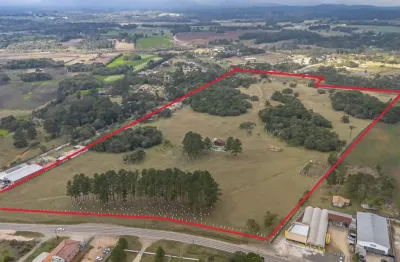 Sítio espetacular 171.632 m² com frente de 290 metros para a rodovia pr 281 em tijucas do sul/pr apenas 50 minutos de curitiba