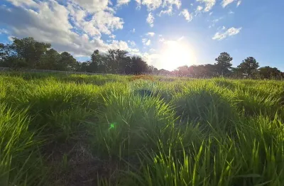 Terreno à venda na Estrada Caminho do Meio, 3073, Vila Augusta, Viamão