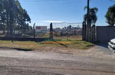 Terreno comercial à venda na rua das amoreiras, 772, lamenha grande, almirante tamandaré por r$ 2.350.000