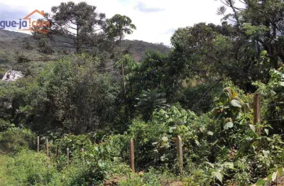 Terreno à venda, 1000 m² por R$ 350.000 - Centro - Santo Antônio do Pinhal/SP