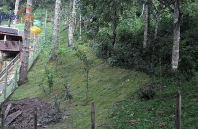 Terreno à venda, 1300 m² por r$ 350.000,00 - centro - santo antônio do pinhal/sp